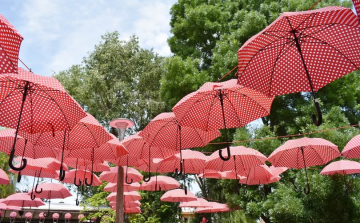 Közútkezelői tájékoztatás - ”Pöttyös Gyermeknap”