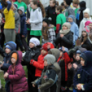 Pest Megyei Futó- és Gyaloglónap