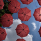 Pöttyös gyermeknap 2019