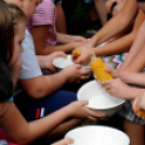 Csibenap a Várkonyiban