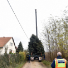 Megérkezett a város karácsonyfája