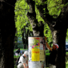 Városi Tavaszi Nagytakarítás