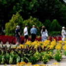 Kováts Zoltán Emlékülés Csemőben