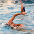 Ceglédi VSE - Egyer