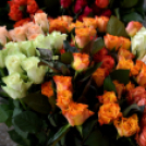 Városi nőnap - fotó: Kisfaludi István