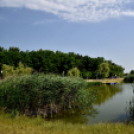 Infineon családi nap