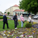 Ments meg egy árvácskát!