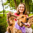 A kedvencek visszatértek