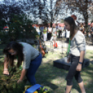 A ceglédi bombatámadás áldozataira emlékeztek