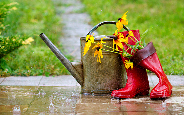 Felhőszakadás töri meg a nyári kánikulát