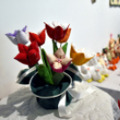 Folton-Folt Klub jubileumi kiállítása