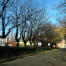 Halló Cegléd - Rákóczi út