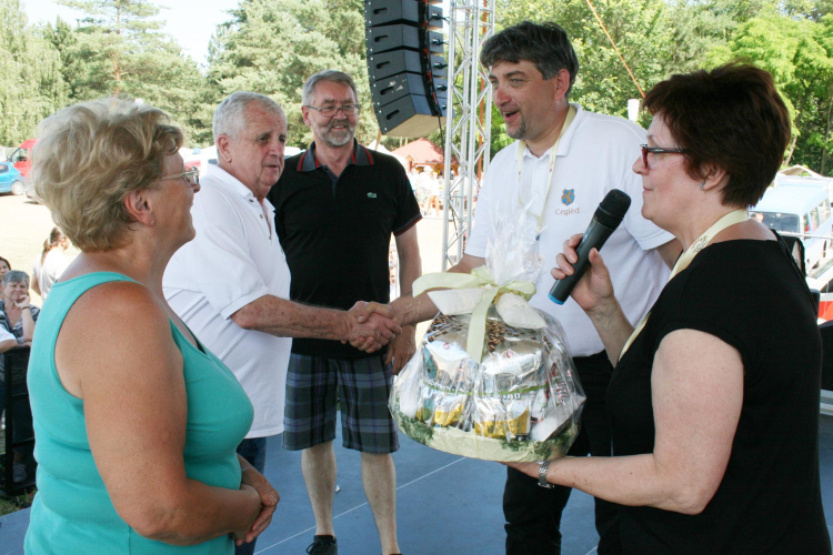 IX. Bor és Laskafesztivál - IV. Ceglédi Vágta