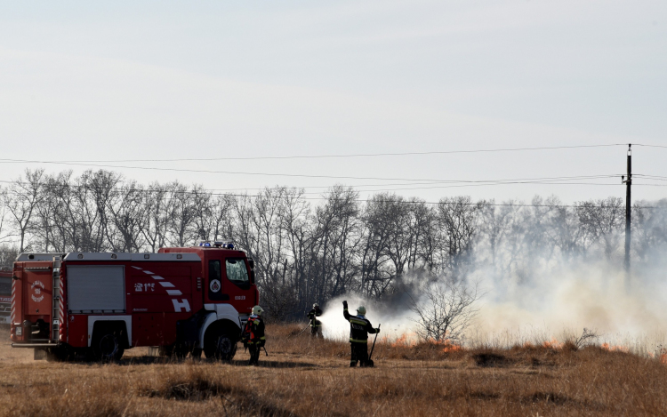Száraz növényzet égett