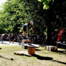 Országos triál bajnokság Cegléden