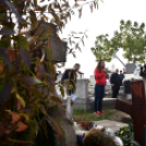 Tekerd be Ceglédet!