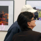 Dánia magyar szemmel