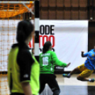 Ceglédi Kék Cápák – Danuke 22 – 31 ( 10 – 13 )