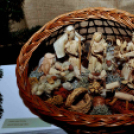 Betlehemezés a Városháza aulájában