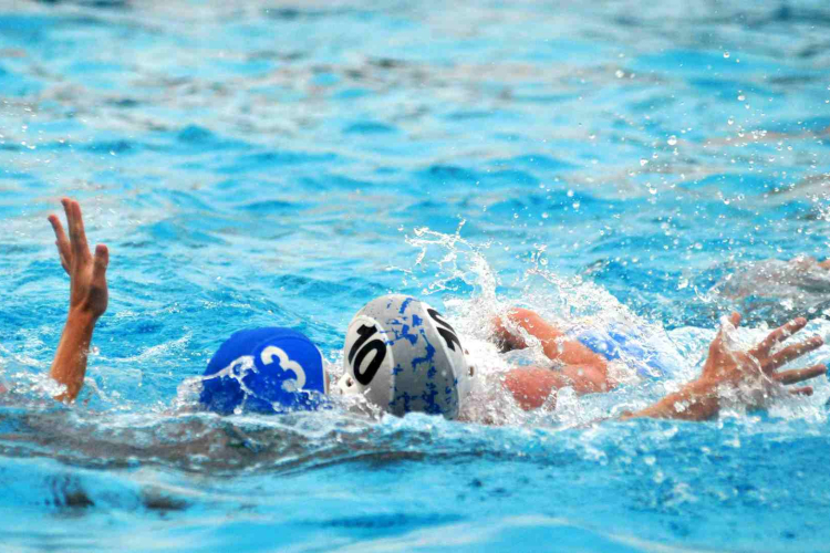 Esélyt sem adtunk a Csirkefogóknak