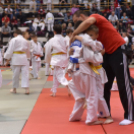Judo Kupa Cegléden