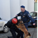 Nyílt Nap a Ceglédi Rendőrkapitányságon