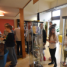 Olimpikonok kiállítás