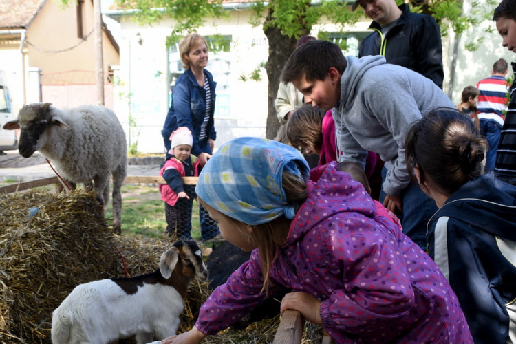 Régi idők piacztere - fotó: Kisfaludi István