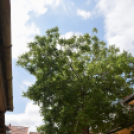 XIII. Nyitott Pince Nap