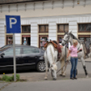 Lovasfelvonulás a belvárosban