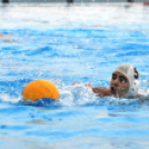 Ceglèdi Vasutas Sport Egyesület - Csabai Csirkefogók VK  (Bèkèscsaba)  9 - 8 