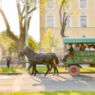 Szerenádoztak a gimisek