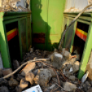 Rákóczi úti épületbontás I.