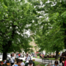 Északi egyházkerületi nap Cegléd