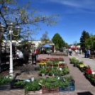 Virágvásár és főzőfesztivál Csemőben