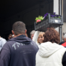 Szebb, virágosabb Ceglédért