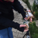 Karácsonyfa díszítő verseny