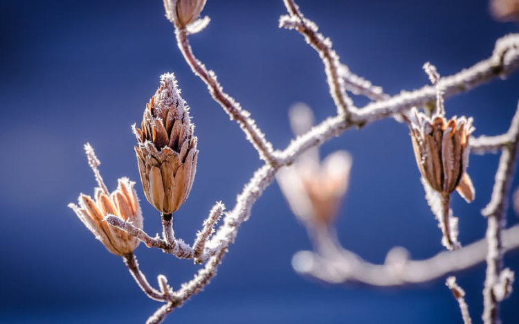 Szélre és ónos esőre adtak ki figyelmeztetést