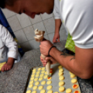 Focisták a konyhában