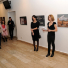 ARTpoétika - Sallai Jutka fotókiállítása