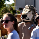 Országos triál bajnokság Cegléden