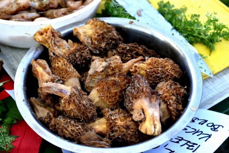 Virágvásár és főzőfesztivál Csemőben