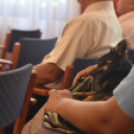 Virágharangot avattak Csemőben