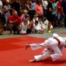 Országos Judo Diákolimpia 