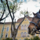 Szerenádoztak a gimisek