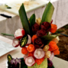 Anyámtyúkja - Csemő