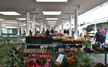 Polgármesteri tájékoztató