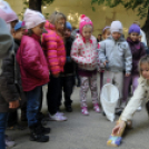 Őszköszöntő a Táncsicsban