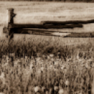 ,,Tudom e mérni a mérhetetlent’’