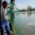 Éhmann Ferenc Emlék Kupa